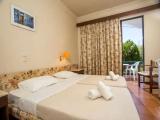 Standard Double room with garden view