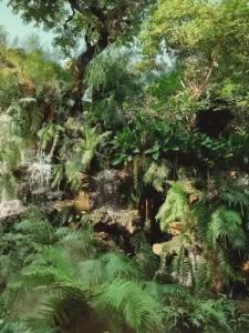 Sukruethai Chiang Mai - โรงแรมสุขฤทัย เชียงใหม่ - 9