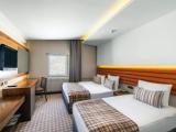 Standard Double room with mountain view