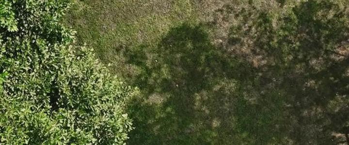 SAPANCA BAMBOOLOW RESORT - 16