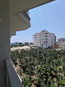 Sey Beach & Spa - 100