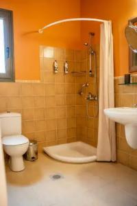 Crystal Palace - Vista - 14