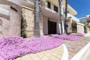 B&B Domus Japigia Mini-hotel, Ugento