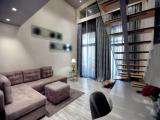 Duplex Suite