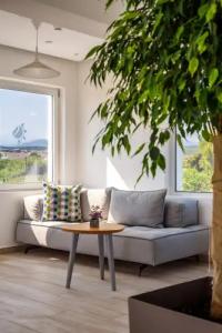 Solimar White Pearl - Adults Only - 50