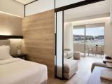 Junior Suite with balcony and with view