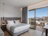 Superior Double room with pool view