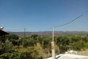 Marinis House, Koroni