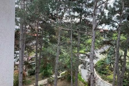 Santa Marina Holiday Village - 53