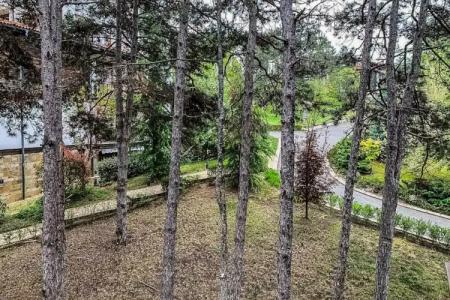 Santa Marina Holiday Village - 96