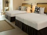 Premium Executive Quadruple room