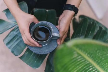 The Nest Resort - 42