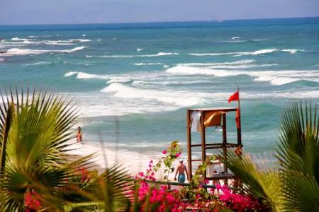 White Olive Elite Rethymno - 23