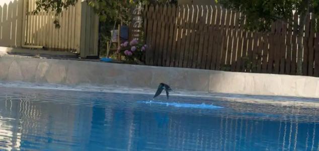 Olive Grove Suites Boutique - 33