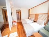 Standard Triple room with pool view