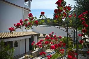 Katia Beach Hotel, Kassiopi