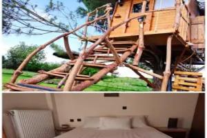 Cuckoo's nest tree house, Preveza