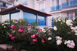 Cemre Apart, Demre