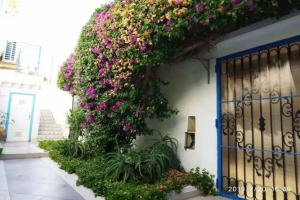 Your dream Guest house, Hammam Sousse