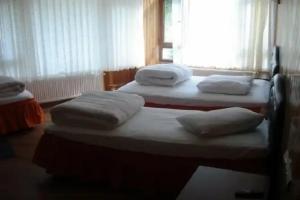Ayder Yesil Vadi Otel, Ayder
