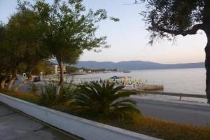 Sasha, Vlore