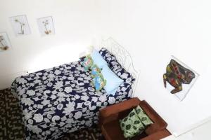 Santome aparta estudio, Santo Domingo
