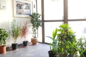 David Hameleh House, Netanya