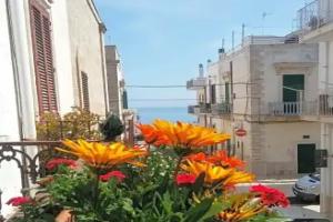 Torres Suite, Polignano a Mare