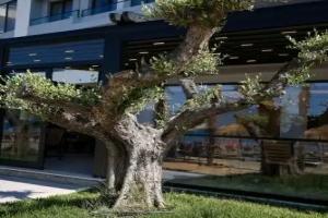 Sea & Sand Hotel, Vlore