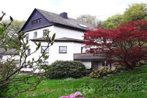 Ring Inn Nurburg, Nurburg