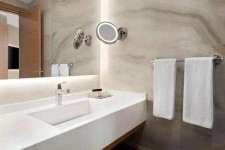 Ramada By Wyndham Nilufer Bursa - 102