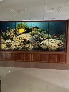 Odrys Beach & Resort - 26