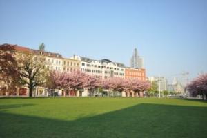 City Park Boardinghouse - #25-30 - Freundliche Apartments, wahlweise mit Fruhstuck, im Zentrum, Leipzig