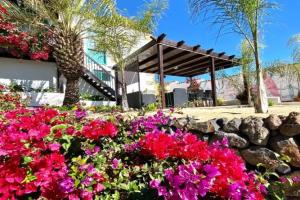 Guest House «Jardines de Tamaide», San Miguel de Abona