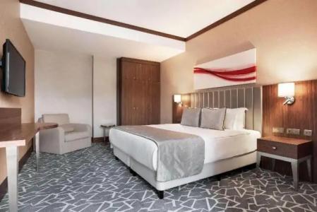 Ramada by Wyndham Istanbul Alibeykoy - 102