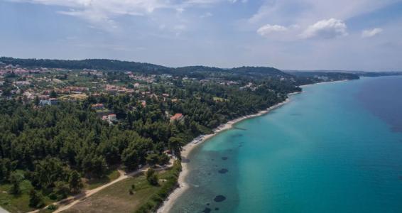 Mirabilia Boutique - 20