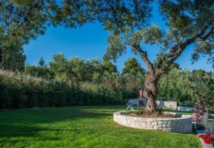 Mirabilia Boutique - 22