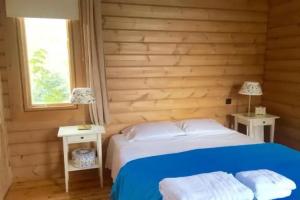 Luxury Chalet Vila on Mountain Top with great view, Kalavrita