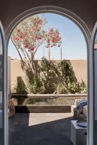 Istoria, a Member of Designs - 54