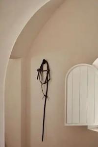 Istoria, a Member of Designs - 67