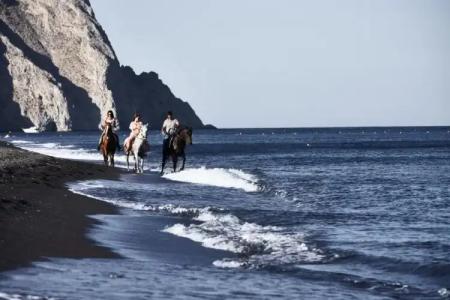 Istoria, a Member of Designs - 25