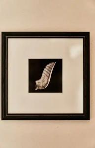 Istoria, a Member of Designs - 56