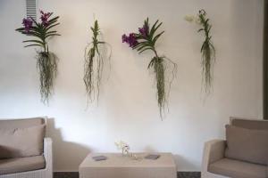 Hotel Riva Del Sole, Giovinazzo