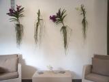 3 Bedrooms Apartment