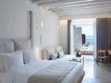 Deluxe with plunge pool Suite
