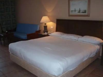 Parrotel Aqua Park Resort - 6