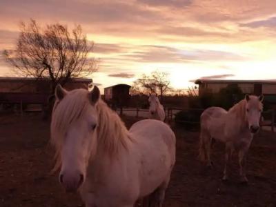 Mas De Calabrun - 20