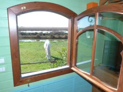 Mas De Calabrun - 22