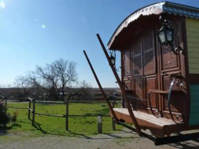 Mas De Calabrun - 19