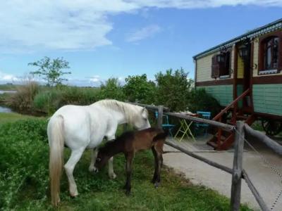 Mas De Calabrun - 18